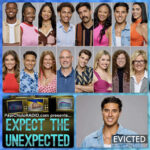 Expect The Unexpected: A Big Brother Podcast (Season 26)